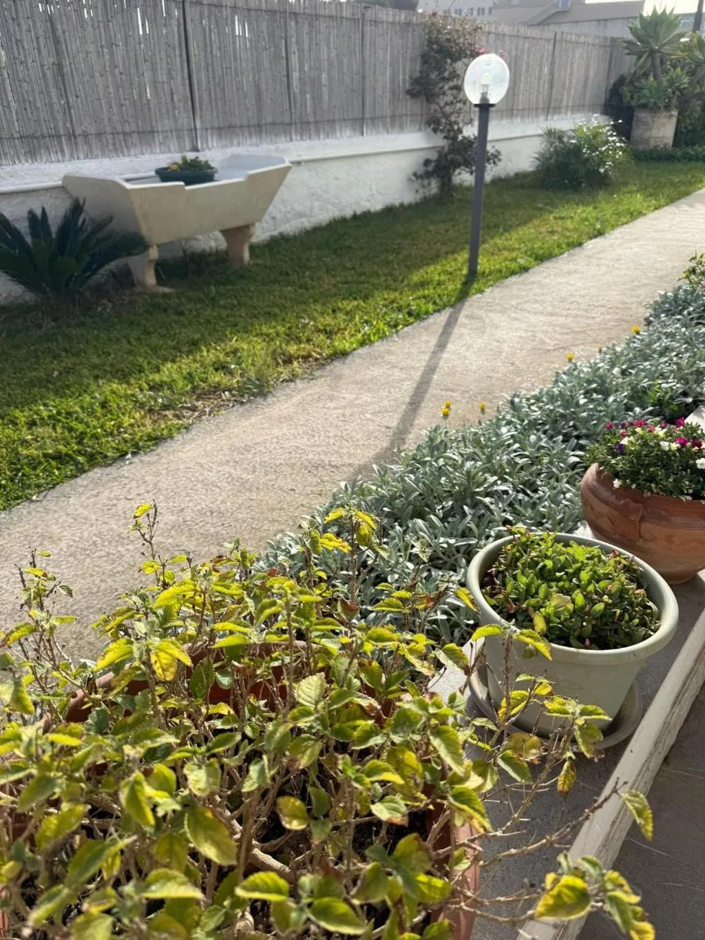 General view, A Casa di Coso B&B, Palermo