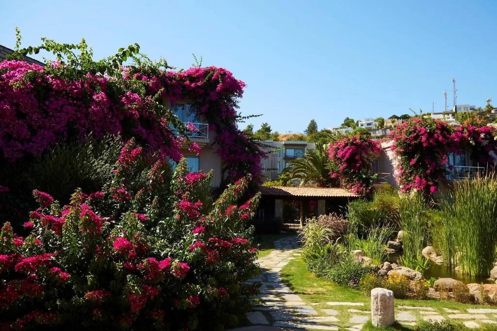 General view, No 81 Hotel, Bodrum