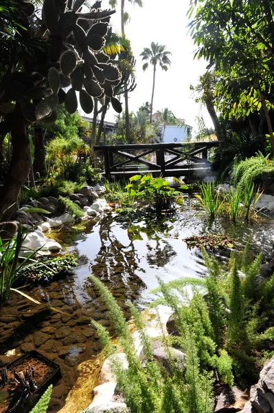 General view, Parque Tropical, Gran Canaria