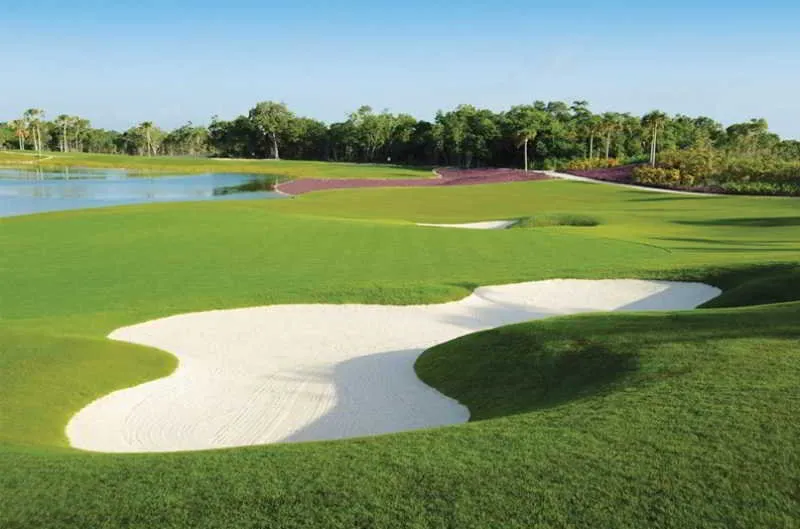Sports and Entertainment, Pure All Suites Riviera Maya, Playa Del Carmen