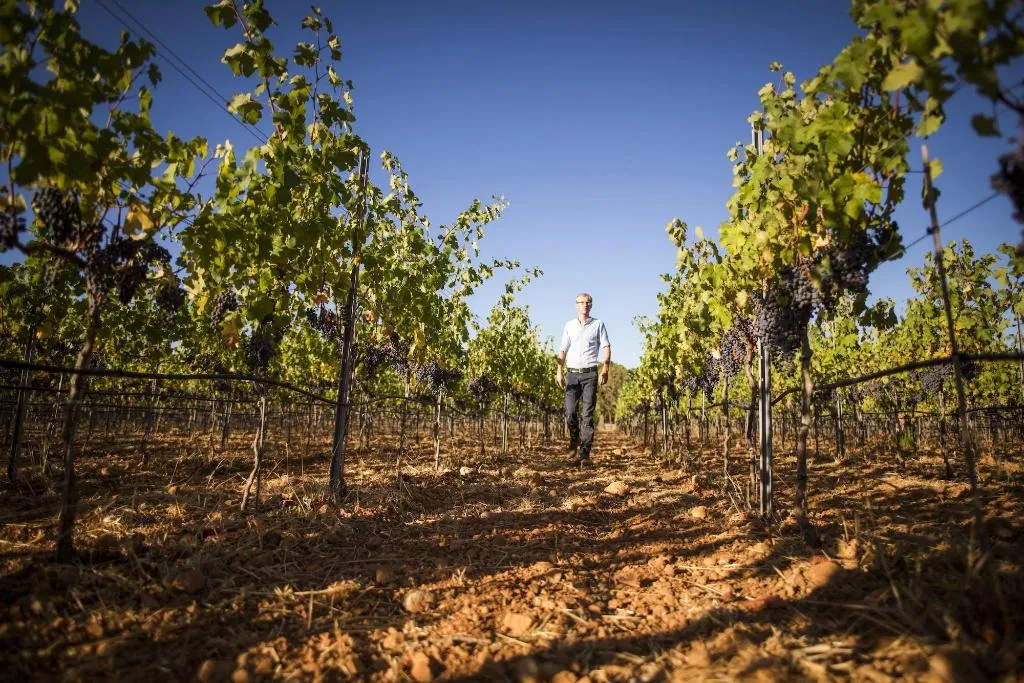 Sports and Entertainment, Weingut & Landhotel Can Davero, Majorca