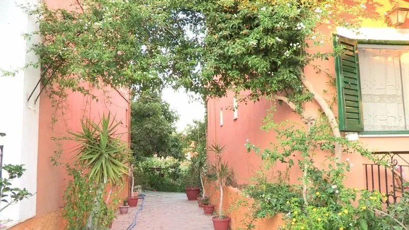 General view, Scrivas Apartments, Corfu
