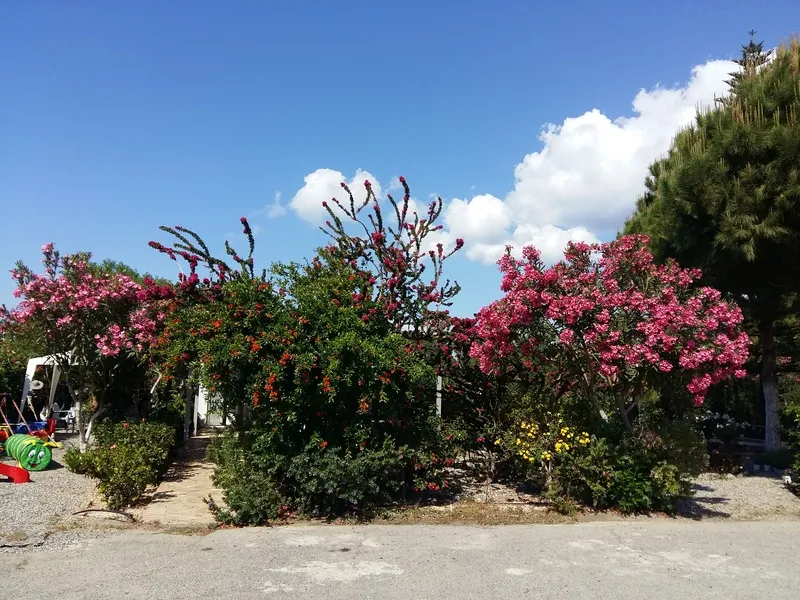 General view, George Beach Studios, Rhodes