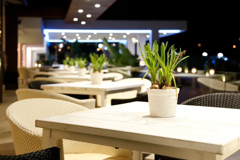 Terrace, Flamero, Costa De La Luz