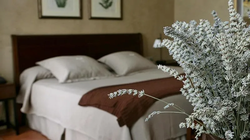 Room, Bremon Boutique Hotel by Duquesa Hotels Collection, Barcelona