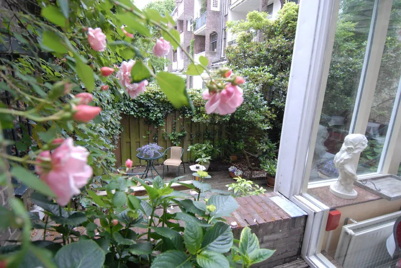 General view, Sander, Amsterdam