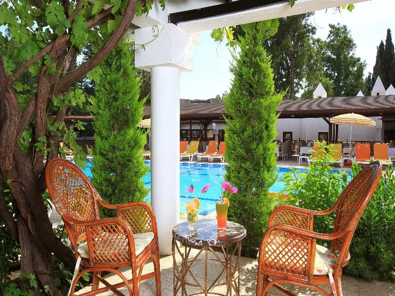 Bar, Natur Garden Hotel, Bodrum