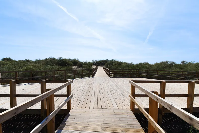 Beach, Praia da Lota Resort - Hotel, Algarve