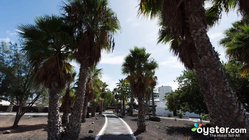General view, Palmeras Garden, Lanzarote