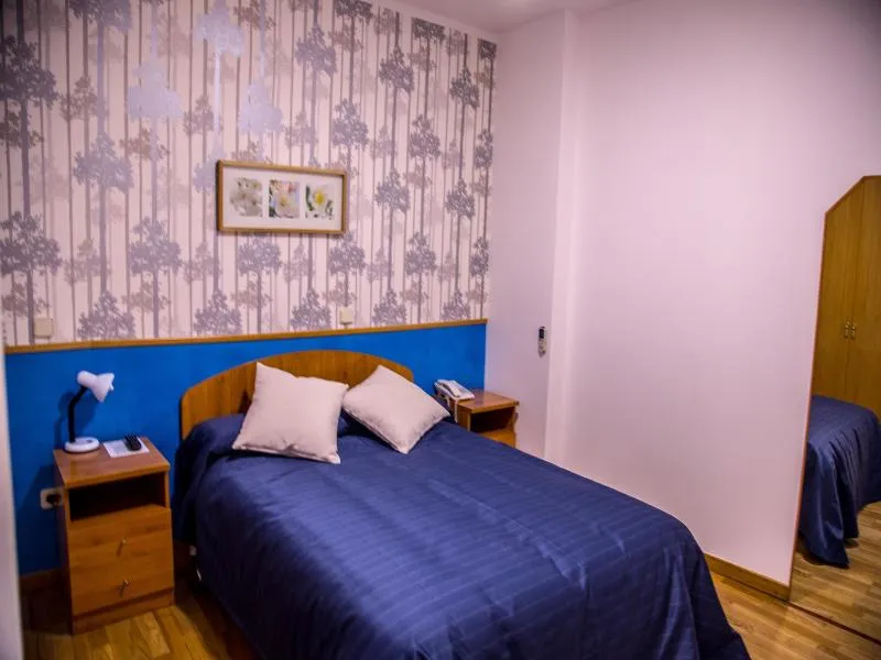 SINGLE STANDARD Room, Hostal Montaloya, Madrid