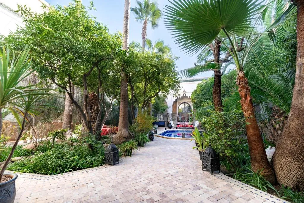 General view, Riad Laila, Marrakech