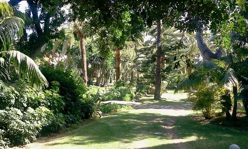 General view, The Oasis by Don Carlos Resort, Costa Del Sol