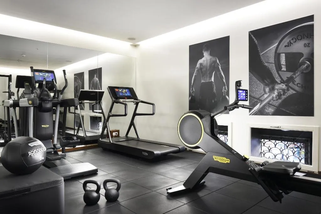 Sports and Entertainment, Palazzo Montemartini Hotel By Radisson Collection, Rome