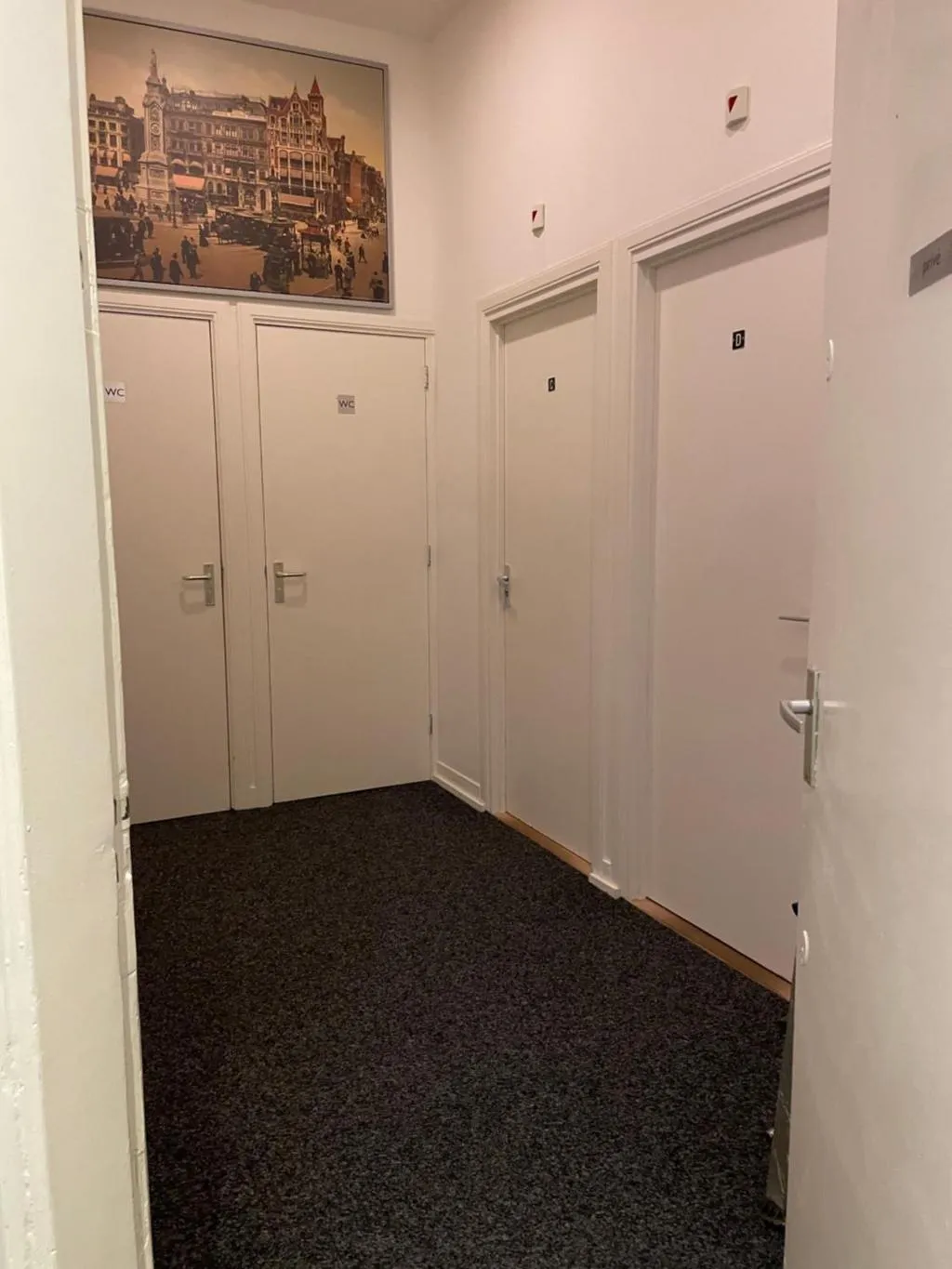 DOUBLE STANDARD Room, Budget Hotel Hortus, Amsterdam