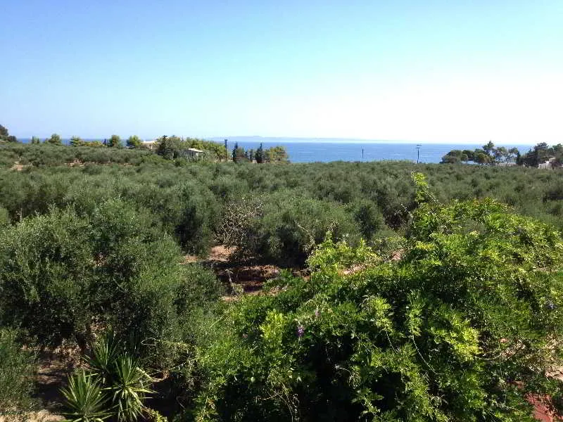 General view, Brigitta Rooms, Zante