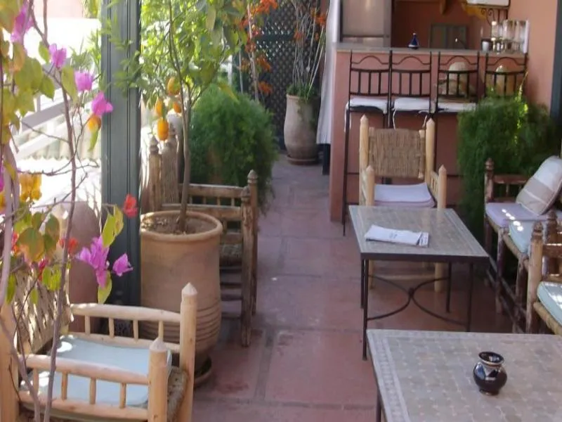 Terrace, Riad Aloes, Marrakech