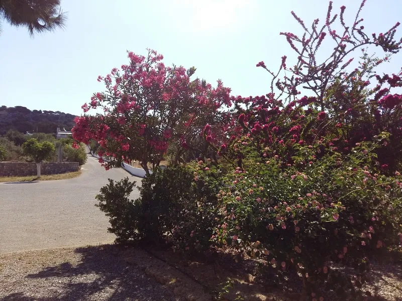 General view, George Beach Studios, Rhodes