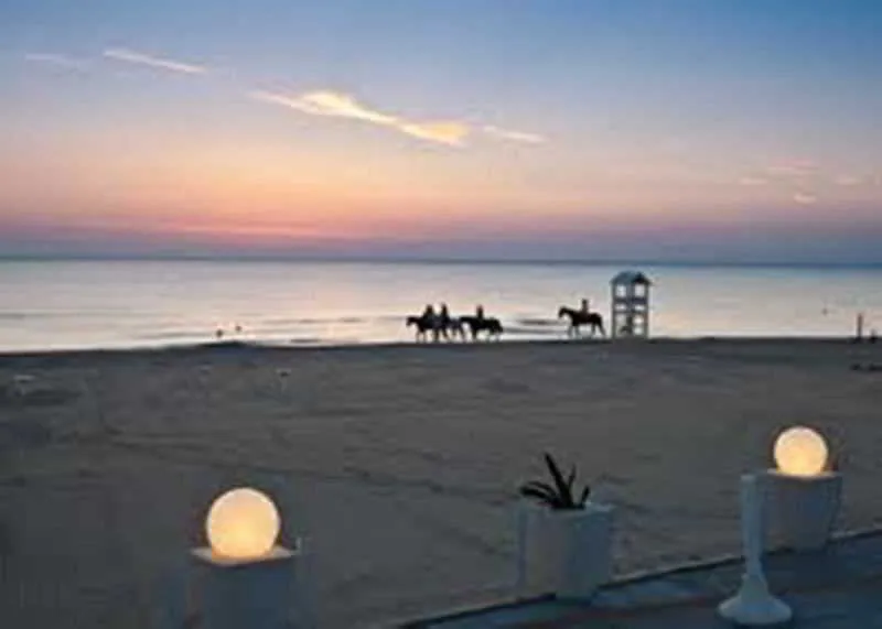 Beach, Orchidea, Naples