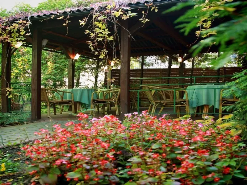 Terrace, Monika, Krakow