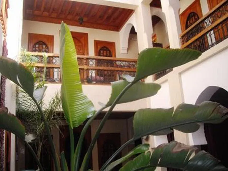 General view, Riad Dubai, Marrakech