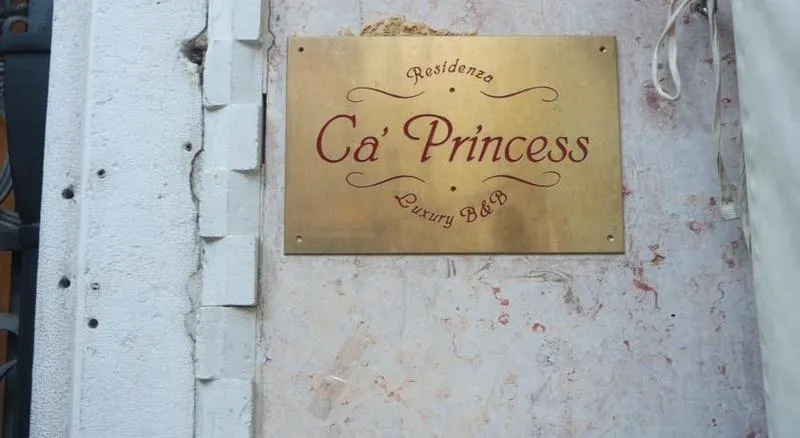 General view, Ca' Princess, Venice