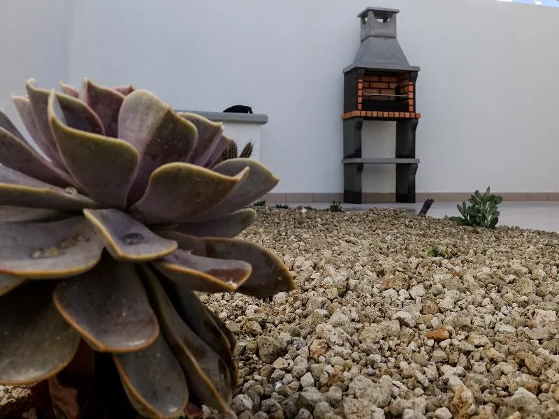 Terrace, Yucca Villas, Tenerife