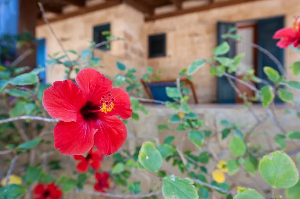 STUDIO CAPACITY 2 Room, Miramare Residence, Trapani