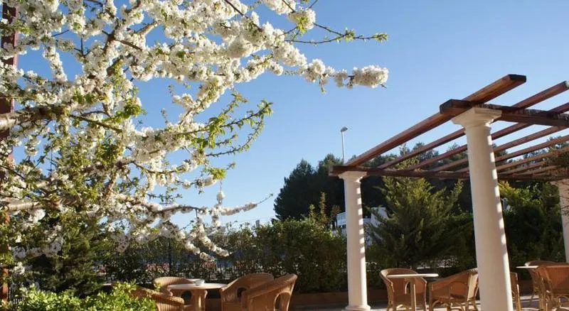 Restaurant, Patilla Ciudad de Requena, Costa Blanca