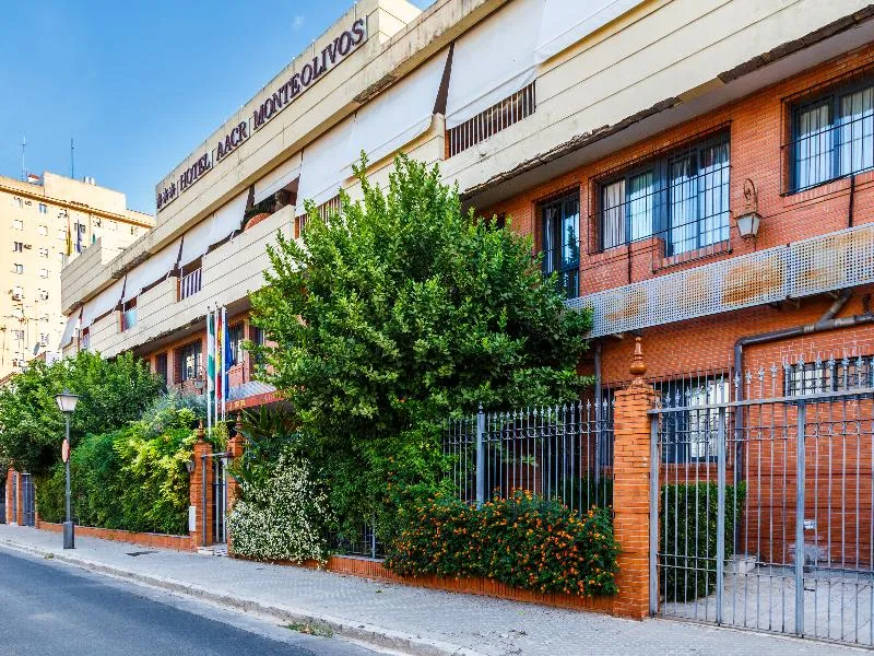 General view, AACR Monteolivos Hotel, Seville