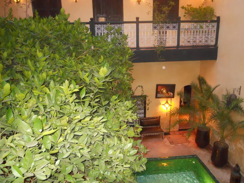 Pool, Riad Du Petit Prince, Marrakech