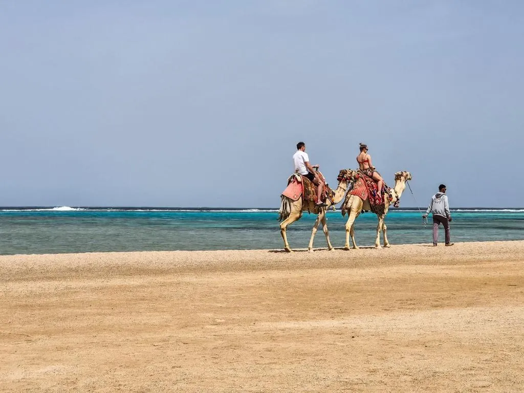 General view, Swisstouch Oriental Resort, Red Sea Riviera
