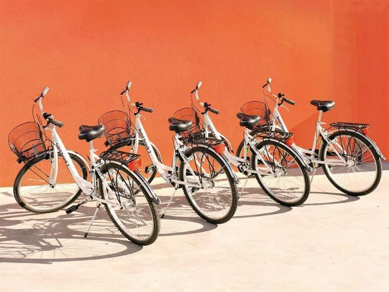 Sports and Entertainment, Beach 2, Venice