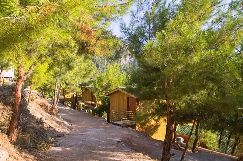General view, Tree House Kabak, Dalaman