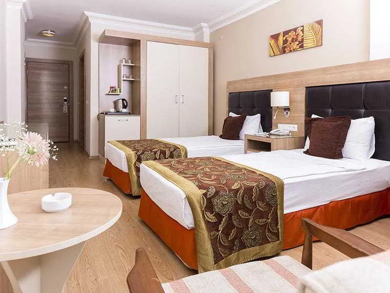 DOUBLE SINGLE USE STANDARD Room, Suite Laguna, Antalya