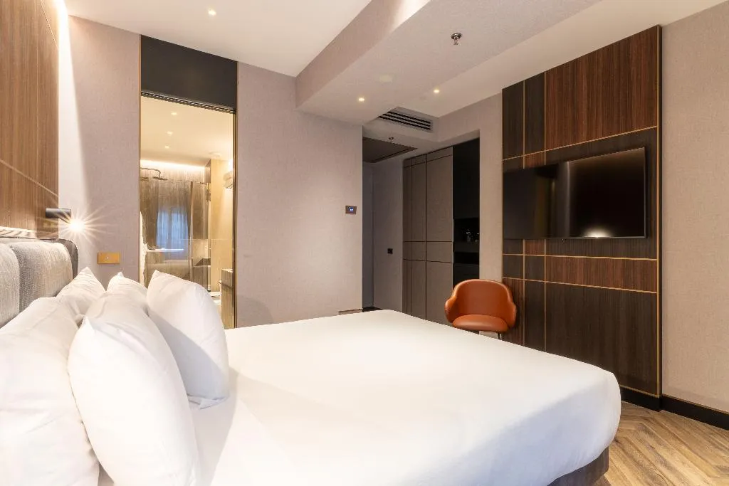 DOUBLE STANDARD Room, Hotiday Roma Trevi, Rome