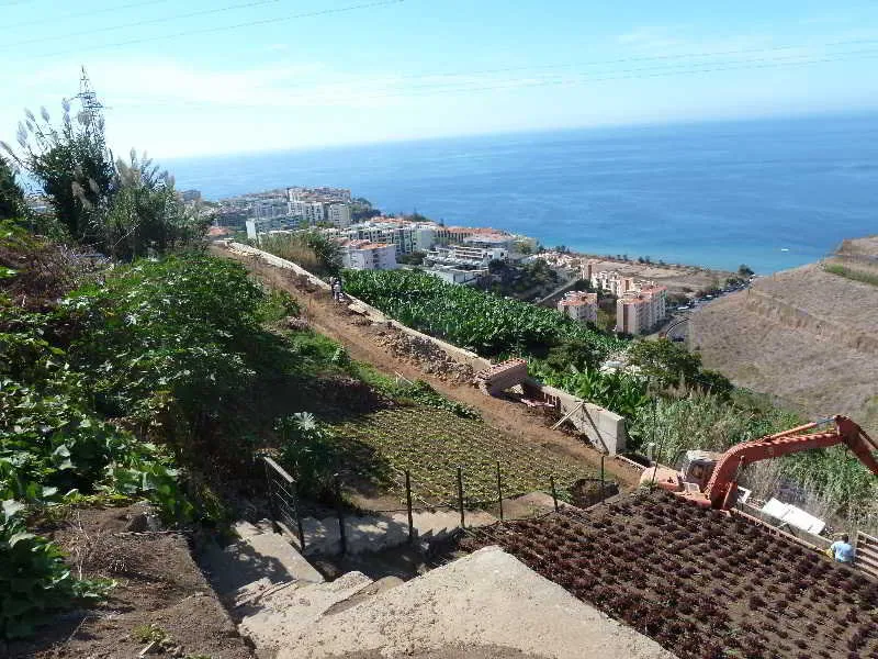 General view, Casa Do Papagaio Verde, Madeira