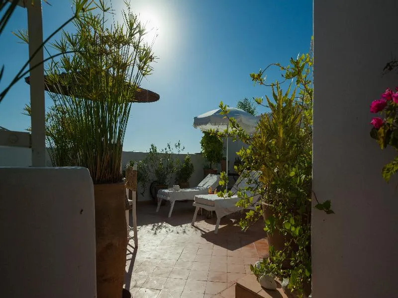 Terrace, Riad Les Orangers D'Alilia, Marrakech