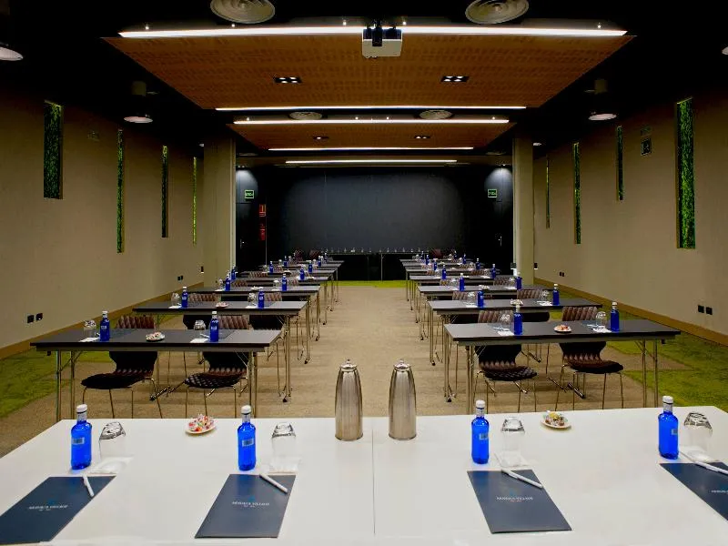Conferences, Hotel Aravaca Village, Madrid