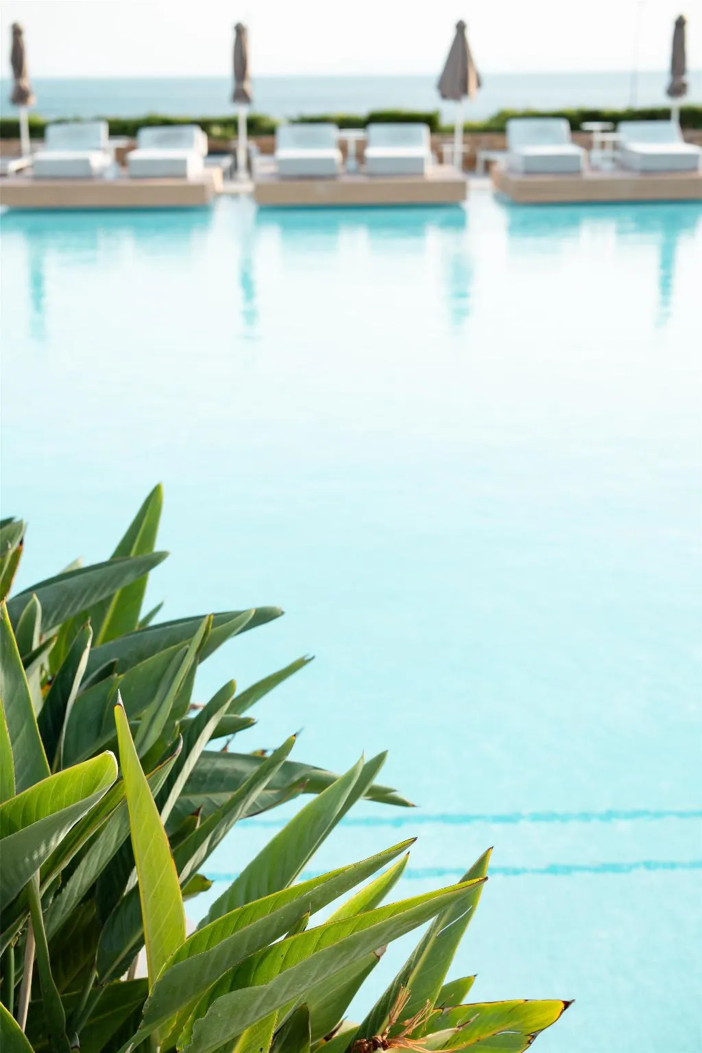 Pool, Vincci EverEden, Athens