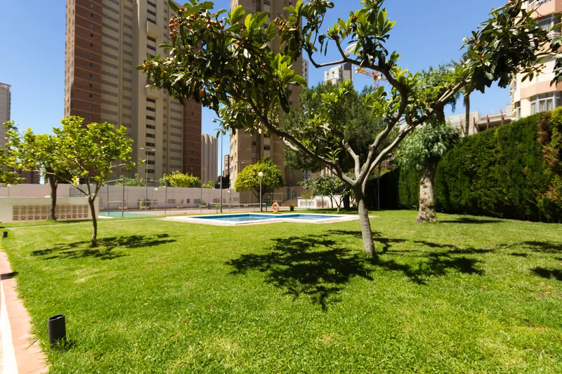 Pool, Apartamentos Gemelos 4- Beninter, Costa Blanca