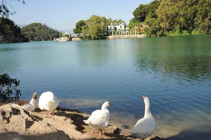Sports and Entertainment, Hotel Cortijo San Antonio, Costa Del Sol