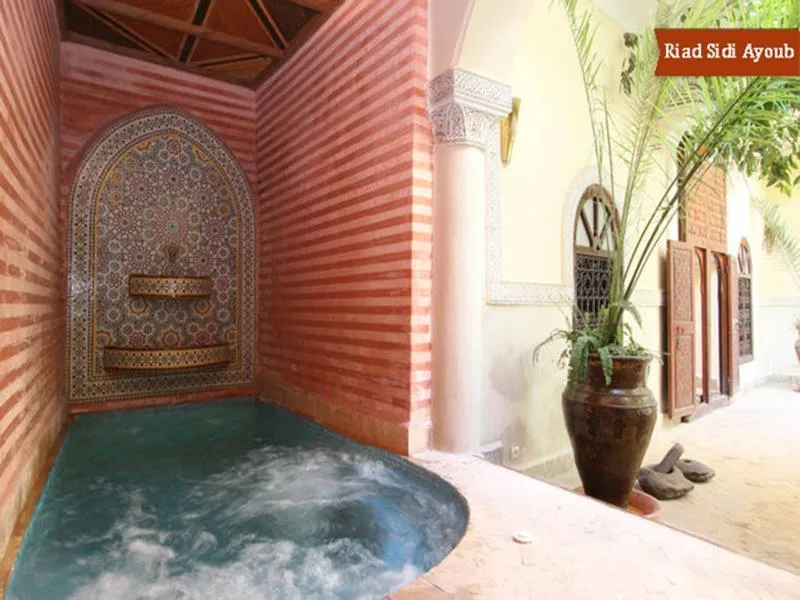 Pool, Riad Sidi Ayoub, Marrakech