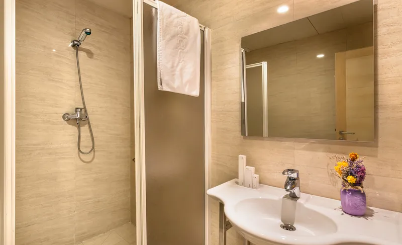 DOUBLE SINGLE USE STANDARD Room, Puerta de Gredos, Madrid