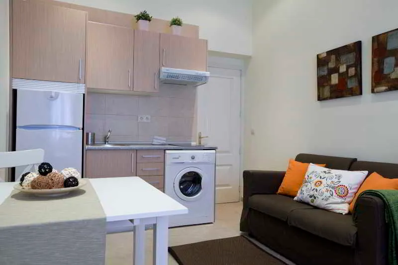 APARTMENT CAPACITY 2 Room, Camino del Prado, Madrid