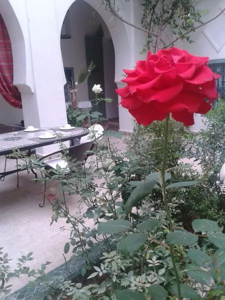 Lobby, Riad Dar Bounouar, Marrakech