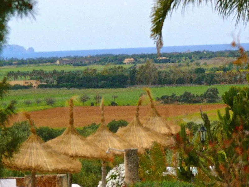 Terrace, Es Turo, Majorca