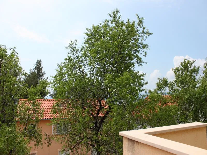 General view, Villa Meridiana, Dubrovnik