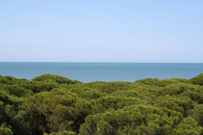 Terrace, On Family Islantilla, Costa De La Luz