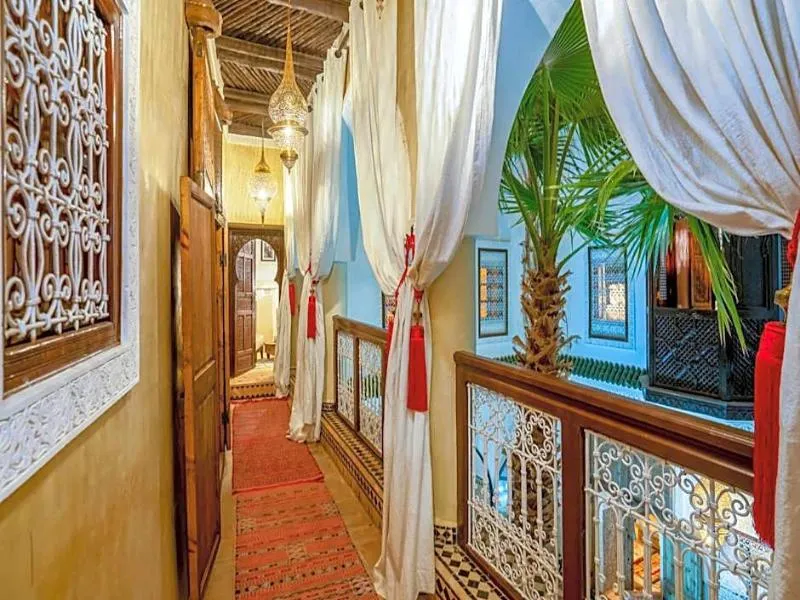 General view, Riad Yalla Habibi, Marrakech