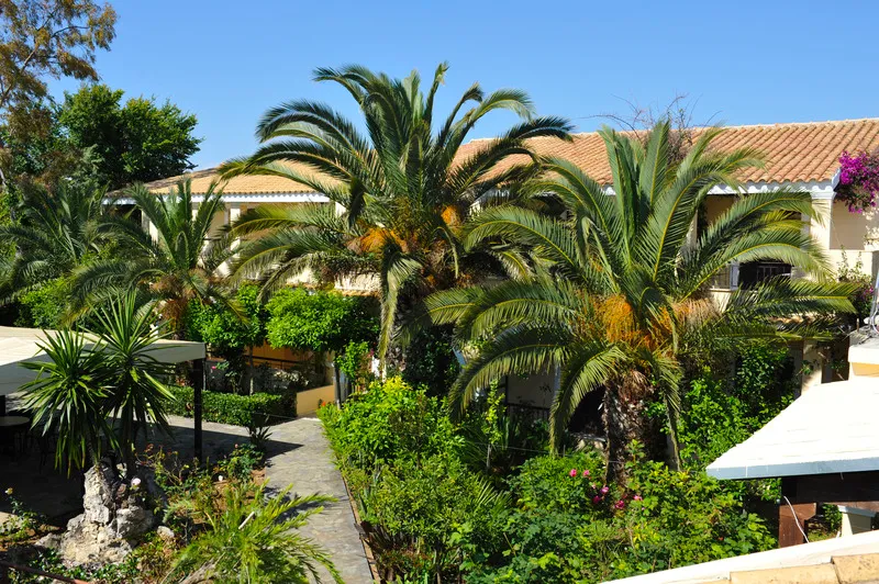 General view, Ilena, Corfu